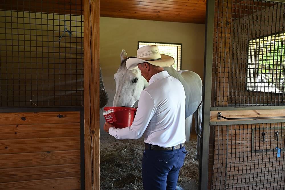 BlogFeeding your Perfromance Horse