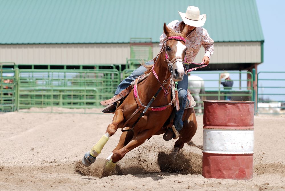 Barrel Racing Horses