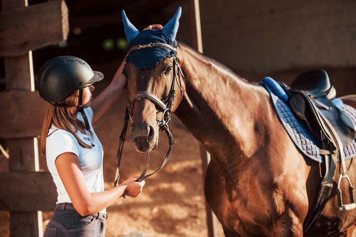 Learn how to move past the first 90 days with your colt.