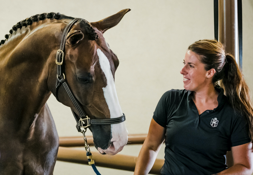 Vita Flex Pro  Tips for Mastering Dressage Braids