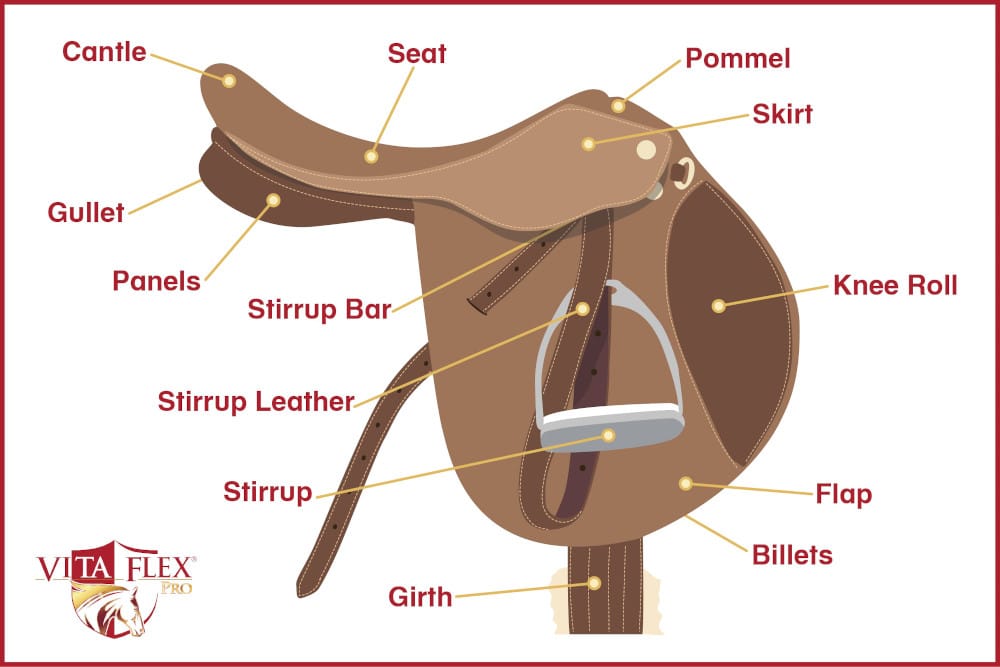 Learn about the 13 most common english saddle parts.