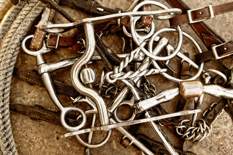 Learn how to choose the best horse bit for your horse.