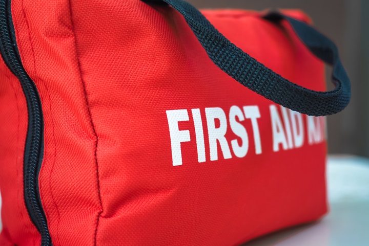 Learn what to include in your horse's first aid kit.