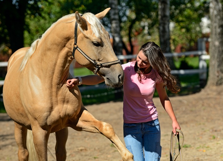 Woman working on groundwork exercises with her horse.