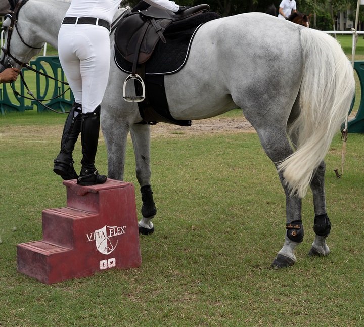 Rider teaching horse to stand still while mounting.