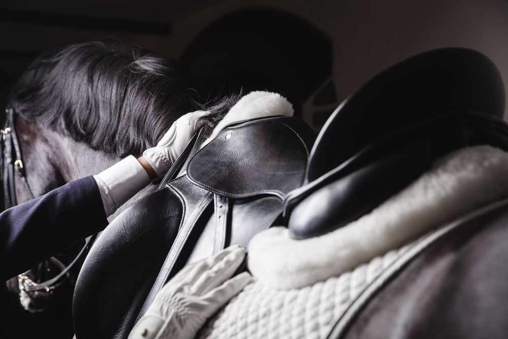 Help your horse with these saddle fitting tips.