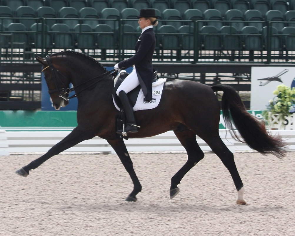 how-to-achieve-maximum-performance-and-endurance-with-your-competition-horse