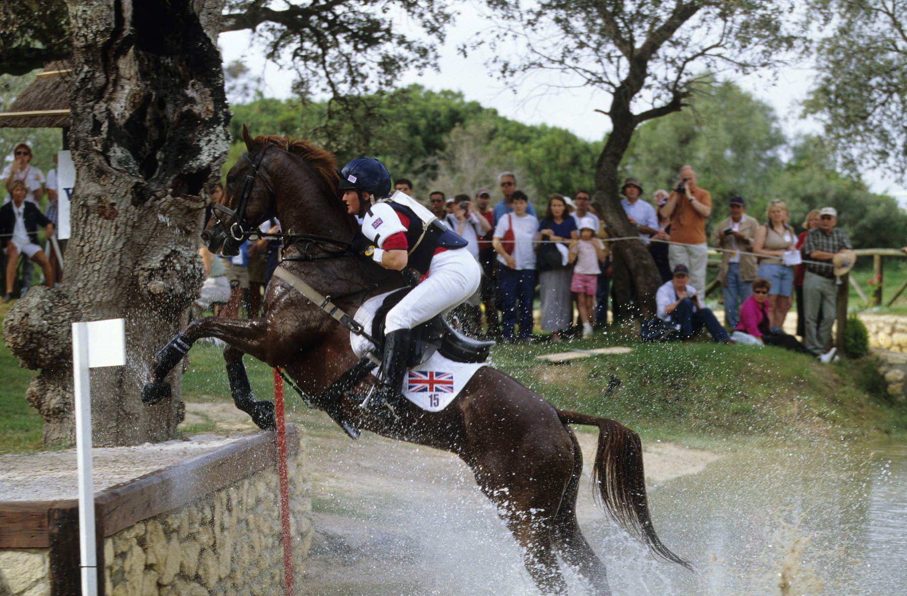 Action shot of rider and horse jumping in competition