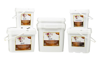 Product shot of Vita Flex® Accel & Accel Lifetime Horse Supplements