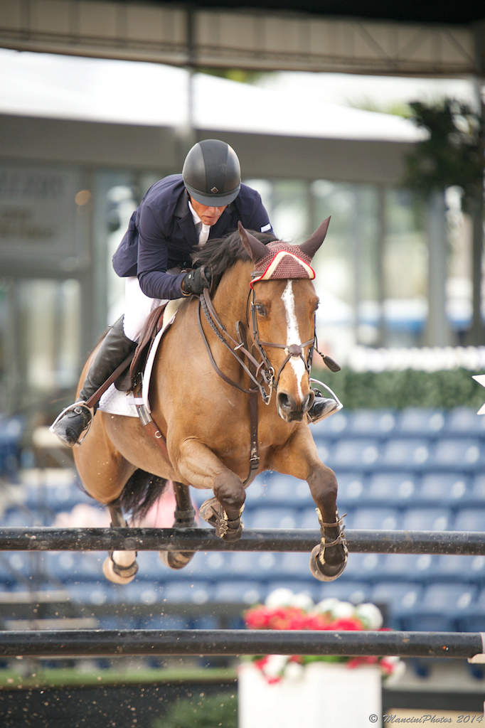 oxidative-stress-and-the-performance-horse