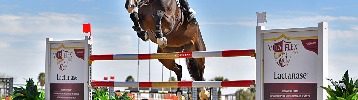 Vita Flex Jump at Thermal2