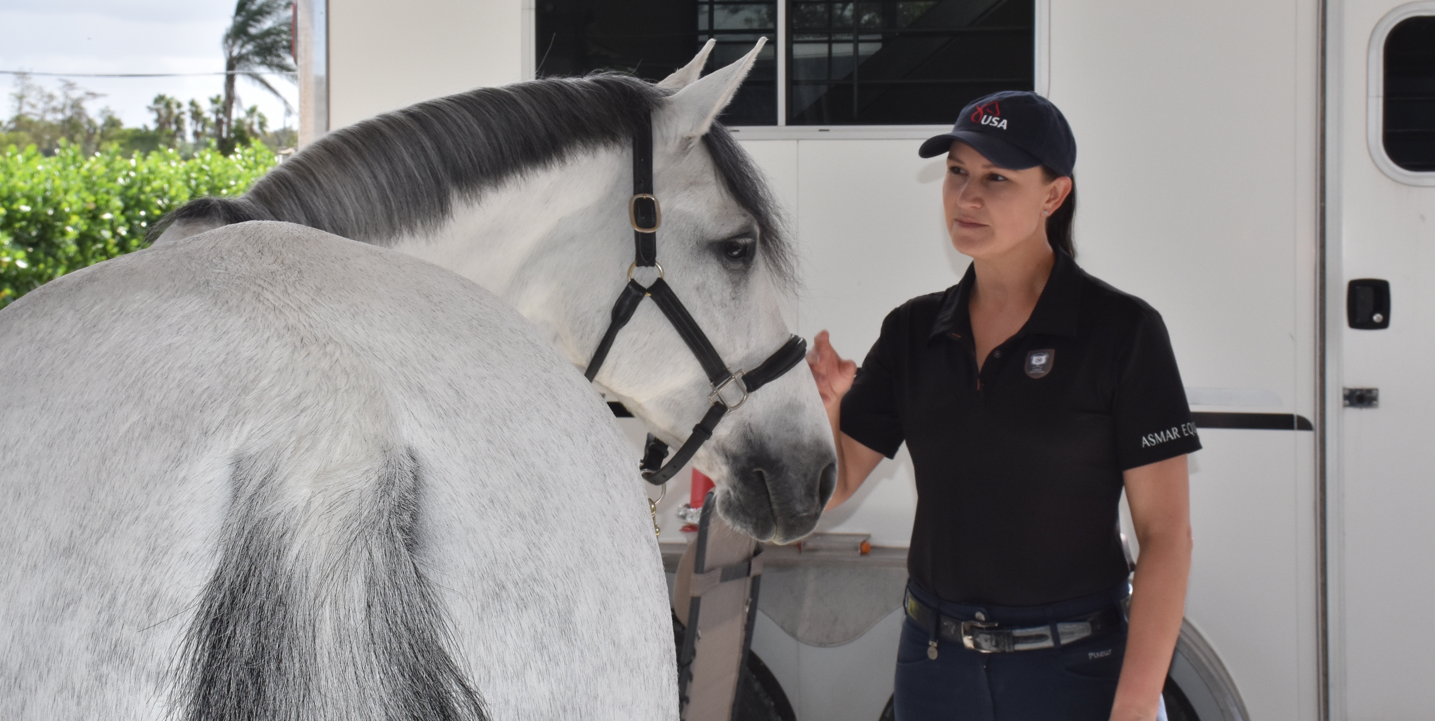 Adriennegreyhorsebytrailer