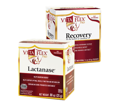 lactanase and recovery box