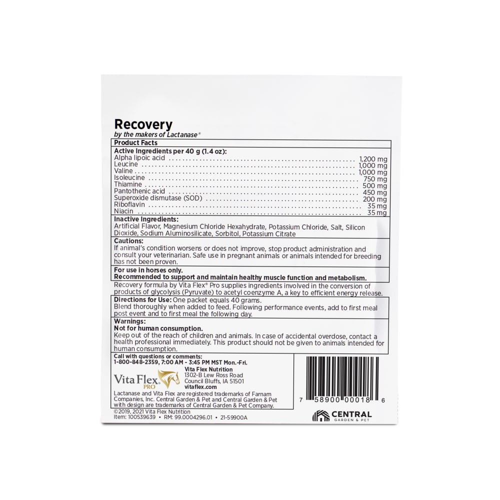 sapm100539639-back01