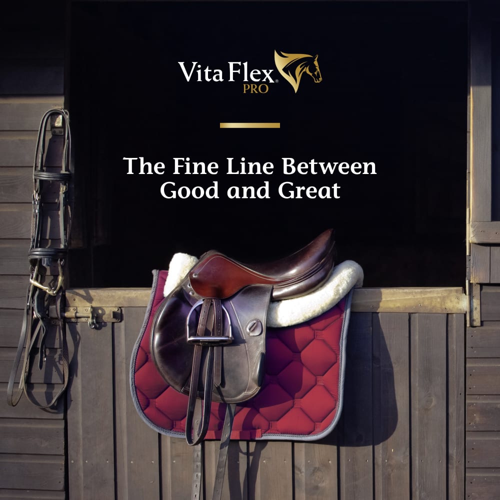 vfp-lifestyle20-brandingred