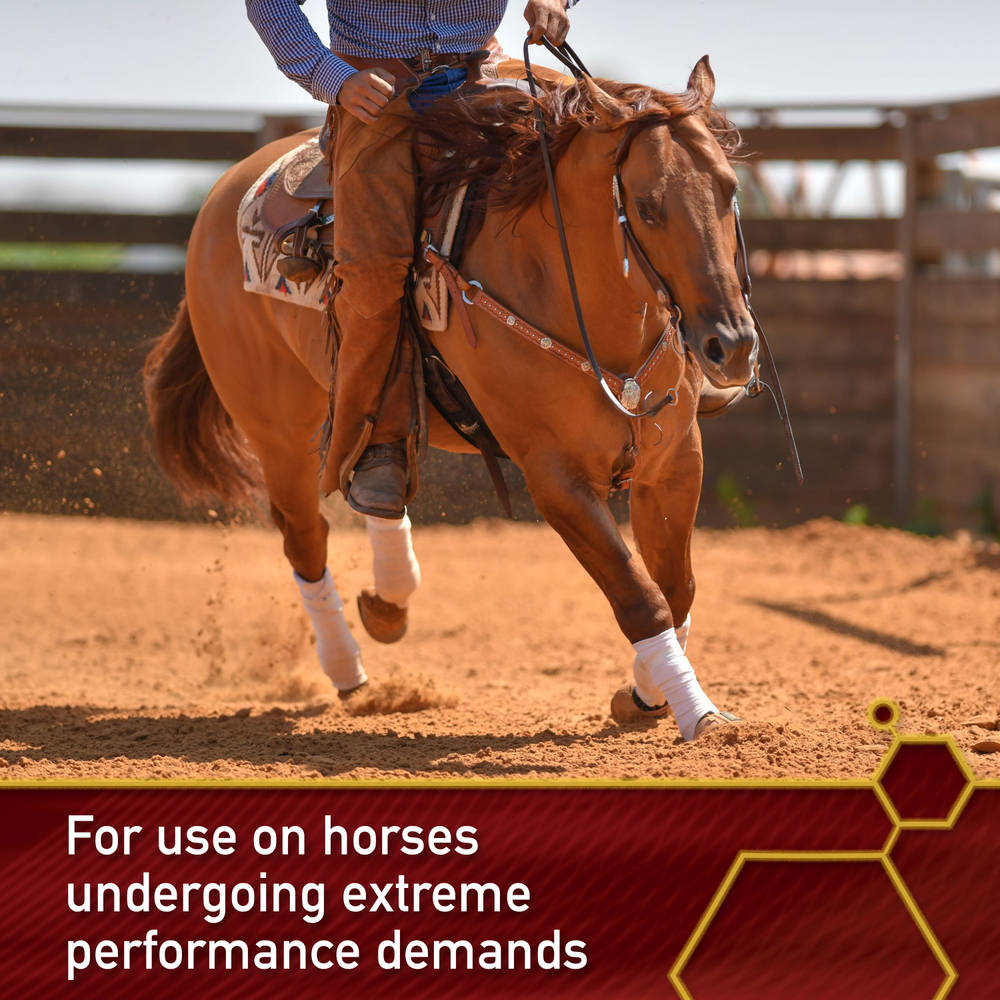 21-46528-vf-3006184-pro-equinyl-joint-formula-web-images-1