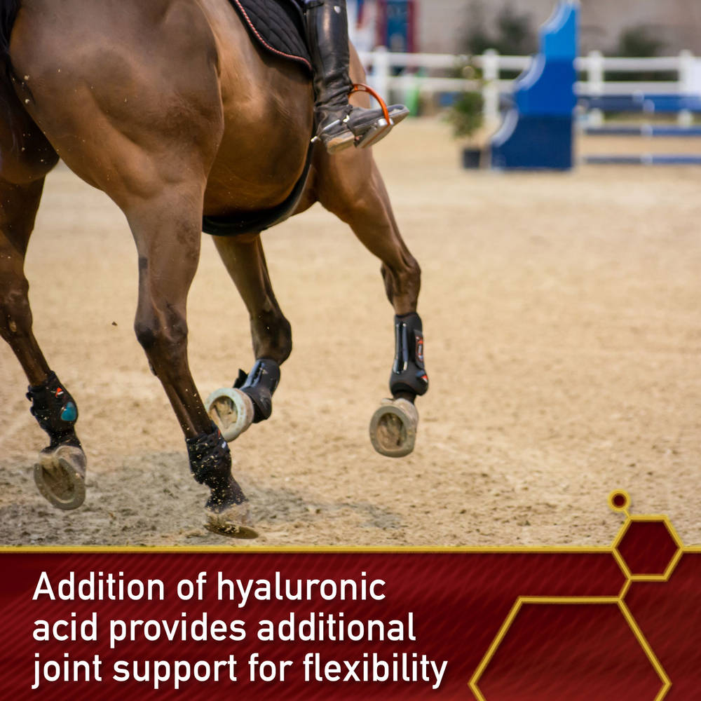 21-46528-vf-3006184-pro-equinyl-joint-formula-web-images-2