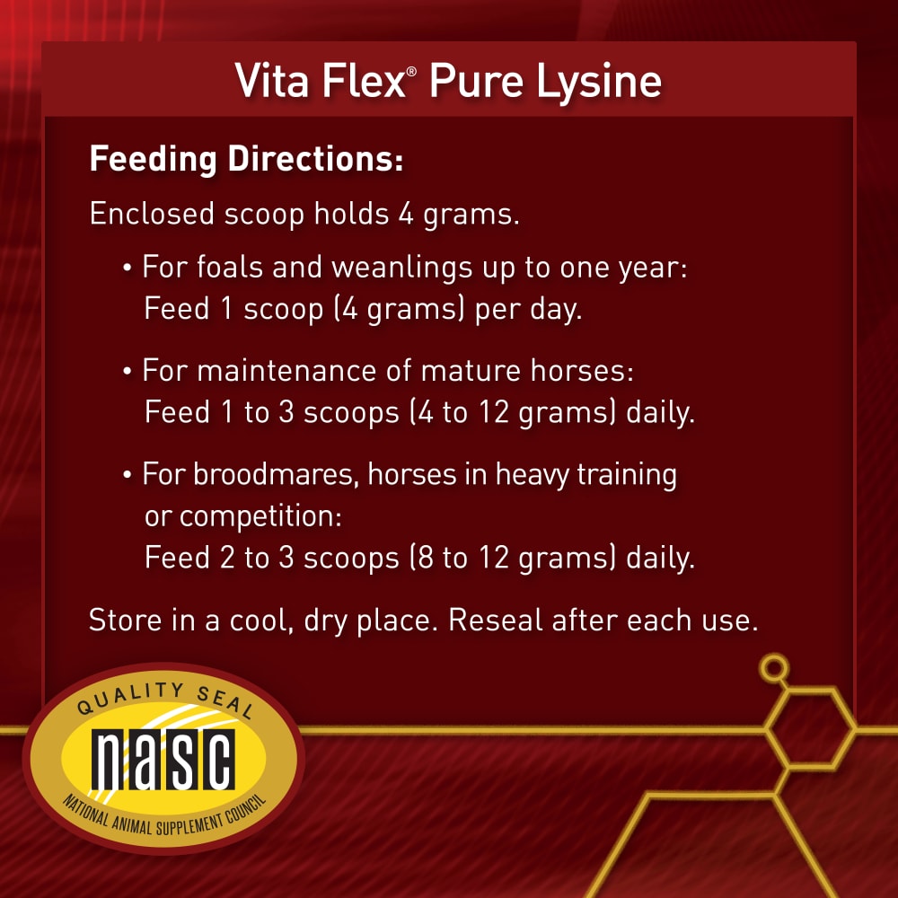 21-49806-vf-30000130-pure-lysine-directions-image