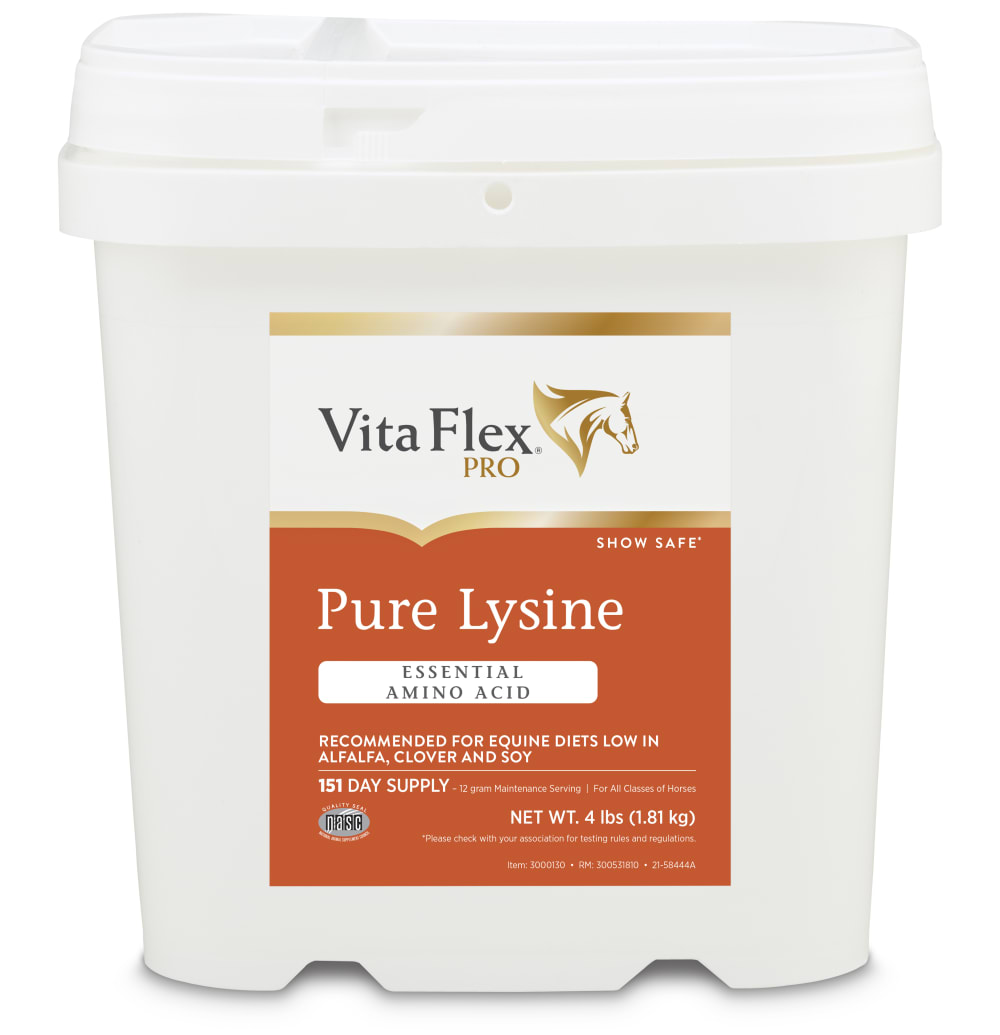 vfp010722-300531810-purelysine-4lb