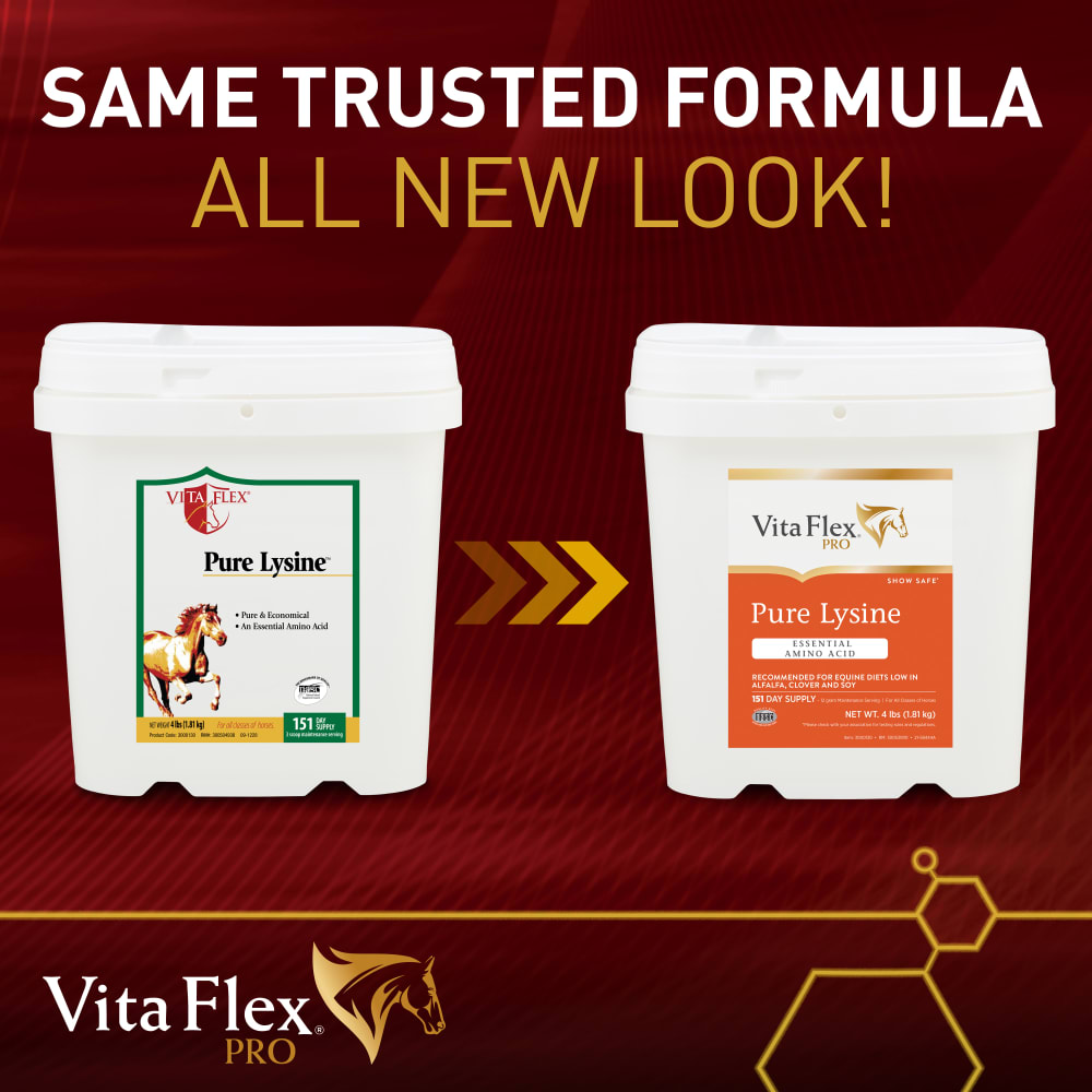 vfp033022-300531810-pure-lysine-4lb-product-transition-sku
