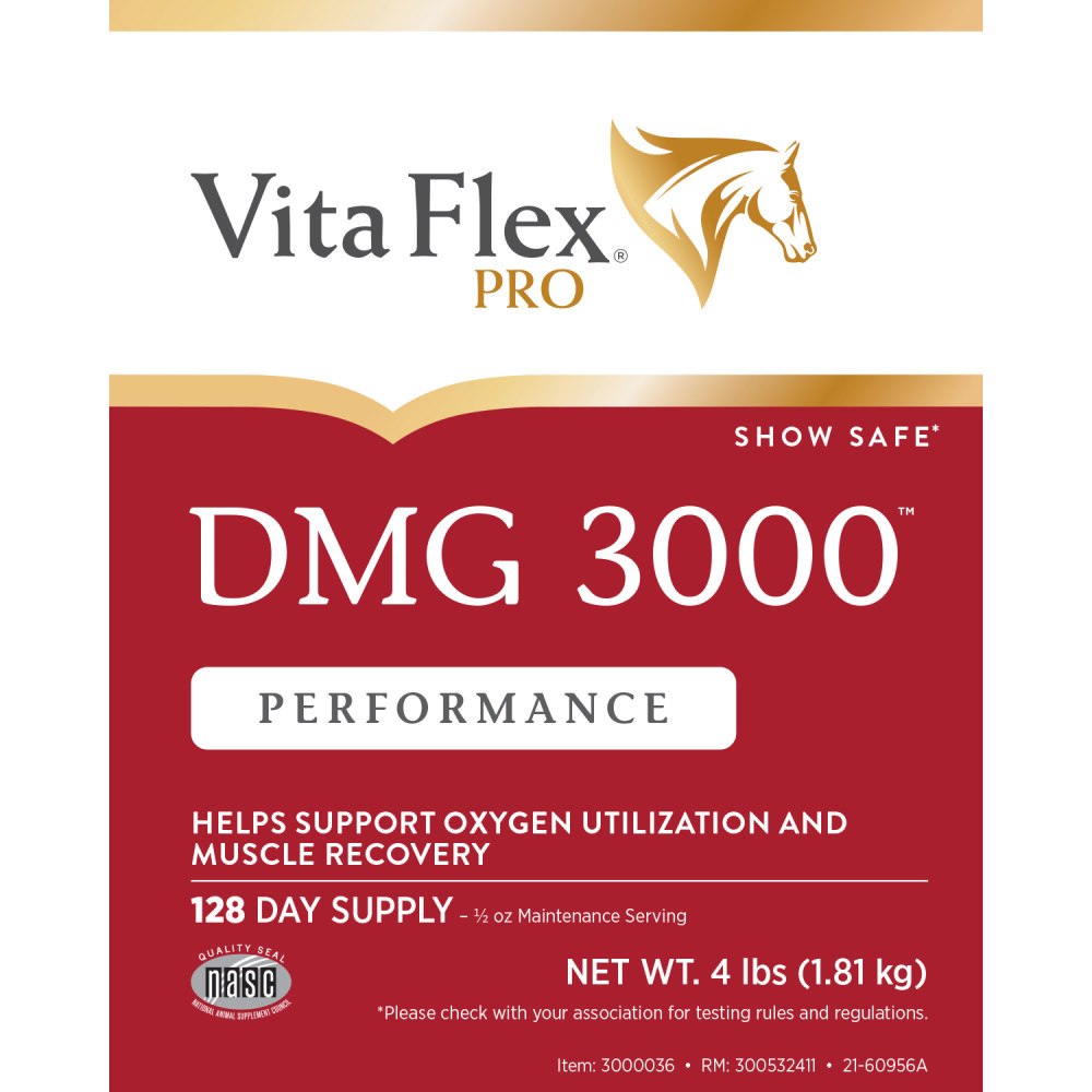 21-60956a-vfp-300532411-dmg3000-4lb-front-label-web-image