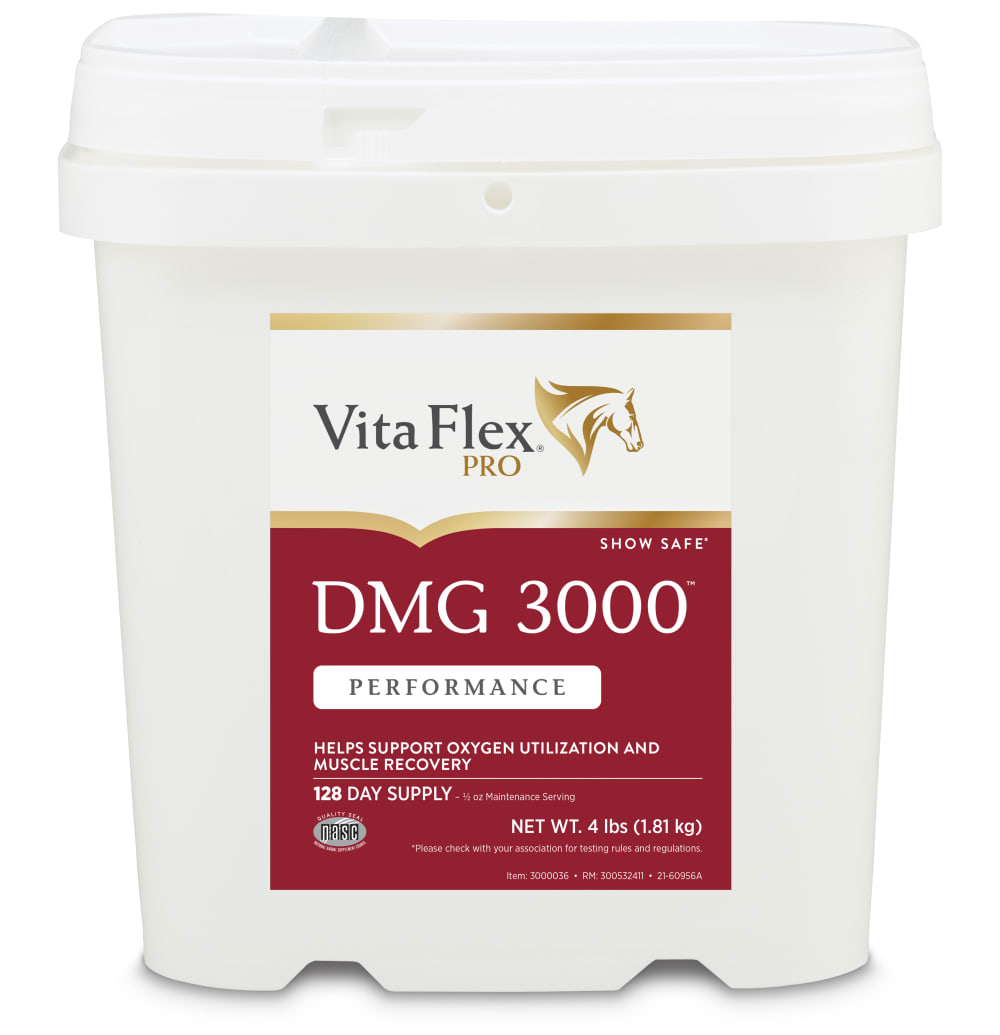vfp010722-300532411-dmg3000-4lb