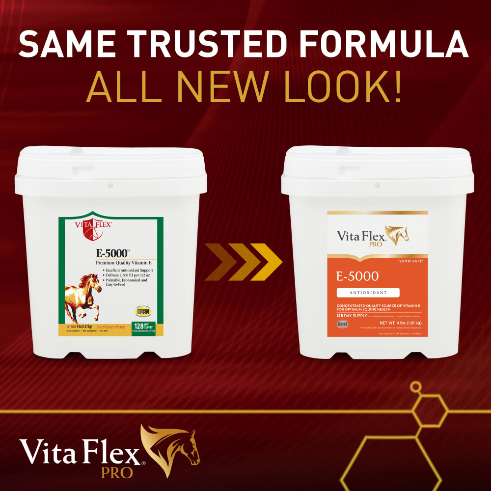 vfp033022-300532392-e5000-4lb-product-transition-sku