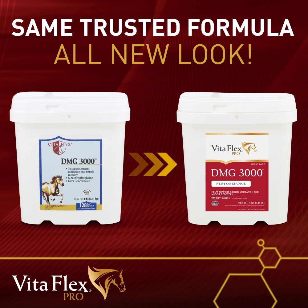 vfp033022-300532411-dmg3000-4lb-product-transition-sku