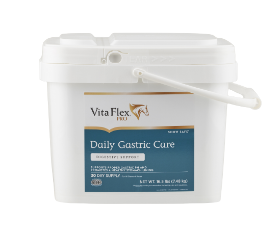 VitaFlexPro_DailyGastricCare_30Day_Front-removebg-preview