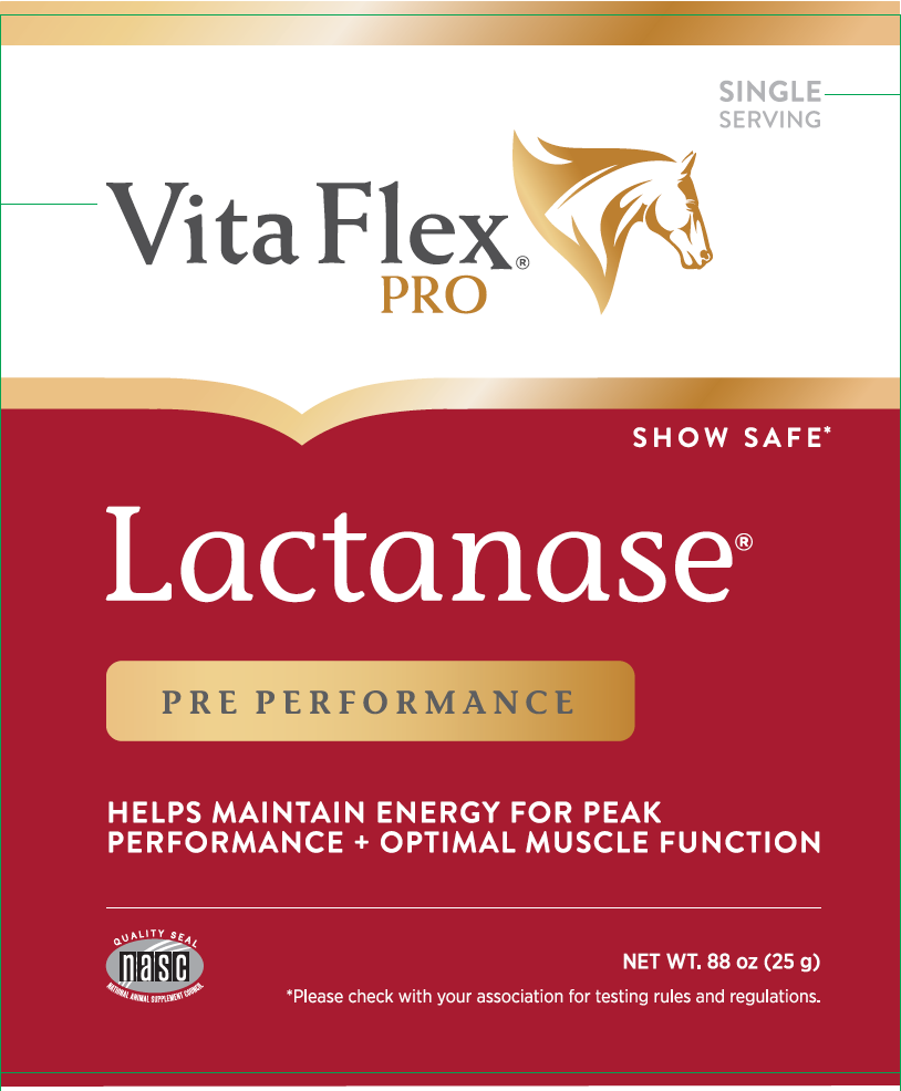 Vita Flex Pro Lactanase | Optimal muscle function