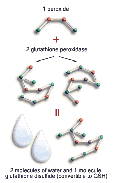 Antooxidants