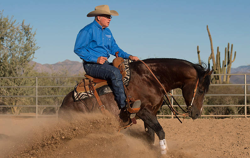 Vita Flex Victory Team Rider Al Dunning and Horse